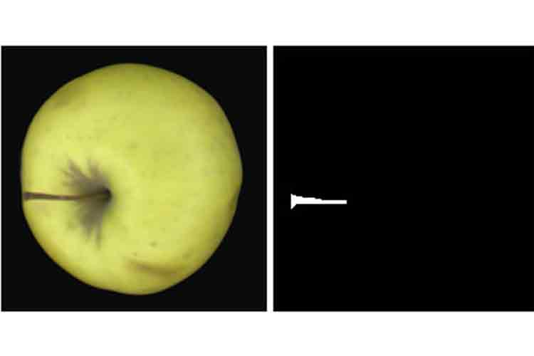 برنامه متلب شناسایی دم سیب به وسیله fcm, استخراج لبه به روش فازی
